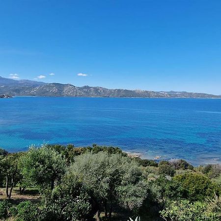Appartement Sur La Baie De Saint Florent Patrimonio Zewnętrze zdjęcie