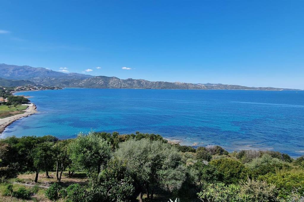 Appartement Sur La Baie De Saint Florent Patrimonio Zewnętrze zdjęcie