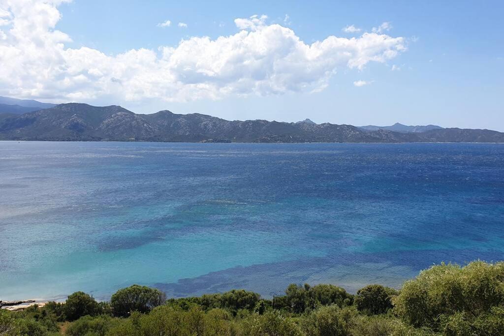 Appartement Sur La Baie De Saint Florent Patrimonio Zewnętrze zdjęcie
