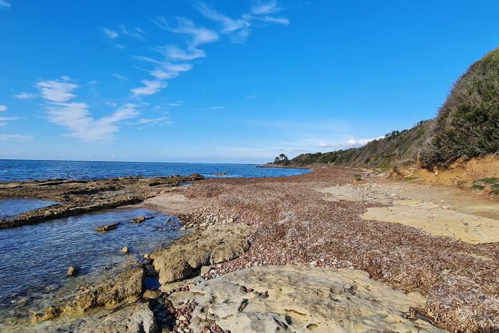 Appartement Sur La Baie De Saint Florent Patrimonio Zewnętrze zdjęcie