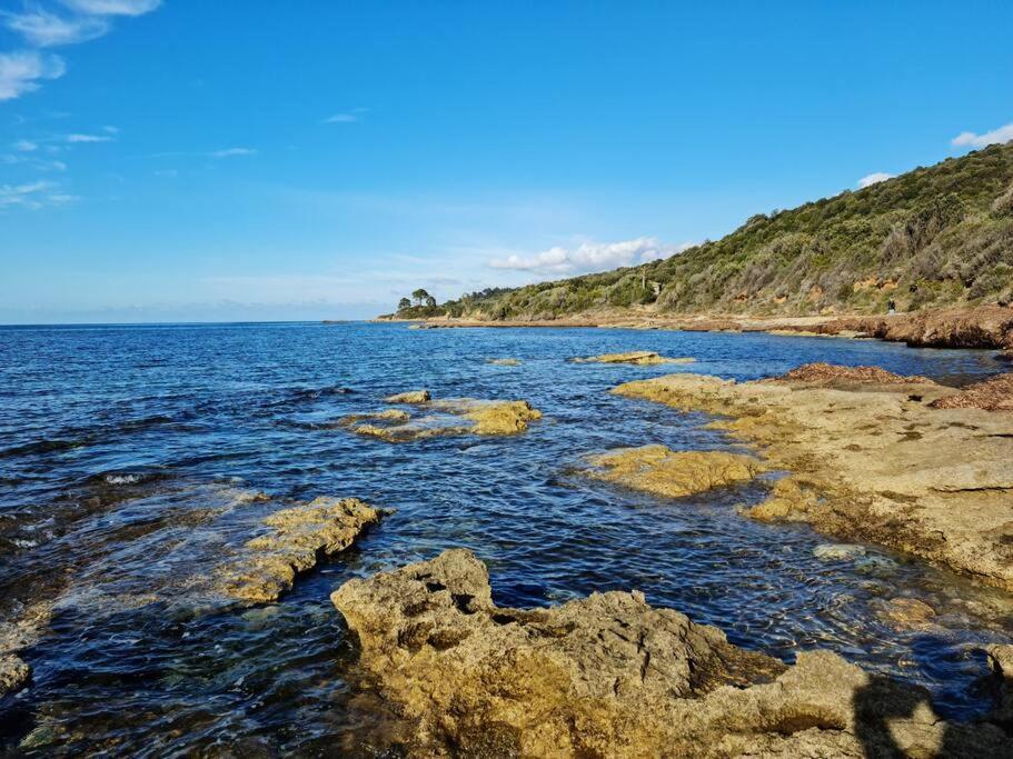 Appartement Sur La Baie De Saint Florent Patrimonio Zewnętrze zdjęcie