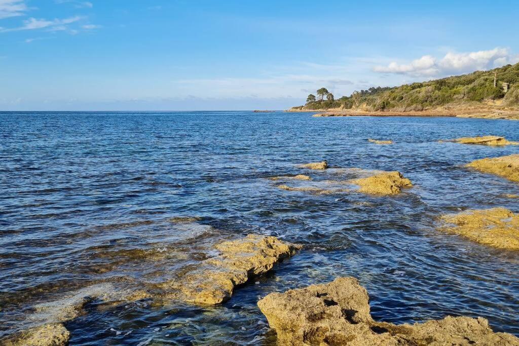 Appartement Sur La Baie De Saint Florent Patrimonio Zewnętrze zdjęcie