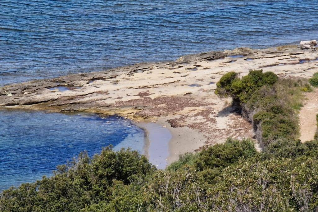 Appartement Sur La Baie De Saint Florent Patrimonio Zewnętrze zdjęcie