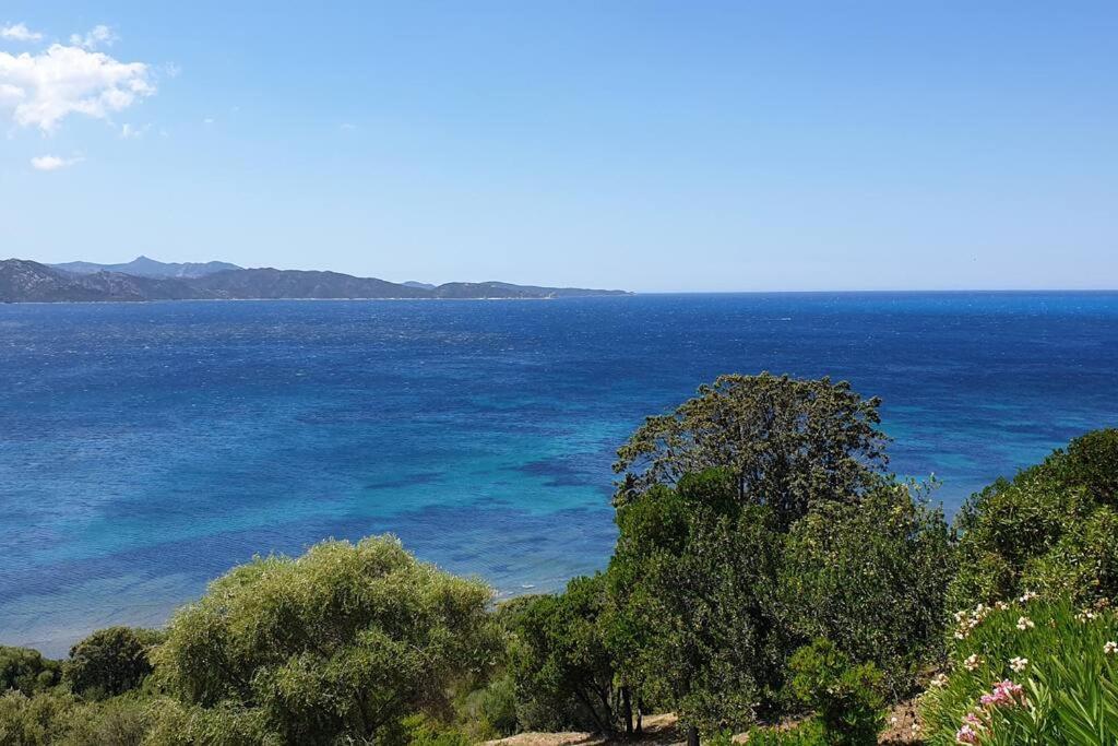 Appartement Sur La Baie De Saint Florent Patrimonio Zewnętrze zdjęcie