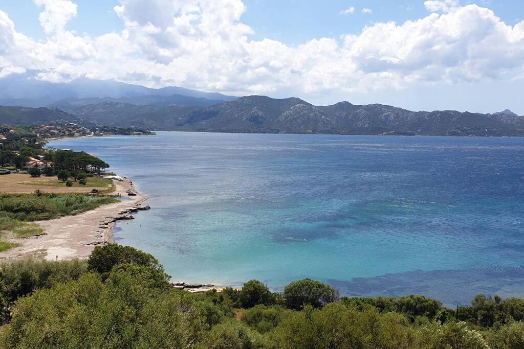 Appartement Sur La Baie De Saint Florent Patrimonio Zewnętrze zdjęcie