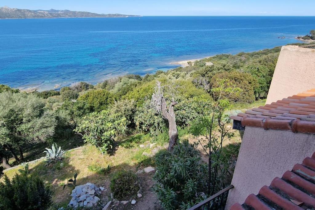 Appartement Sur La Baie De Saint Florent Patrimonio Zewnętrze zdjęcie