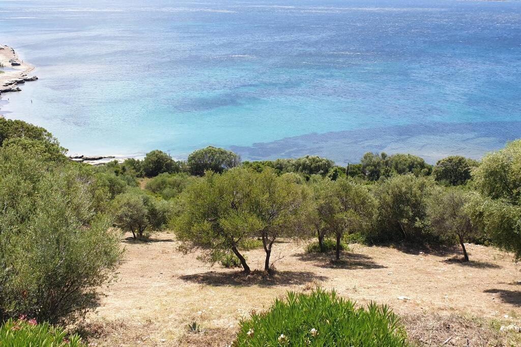 Appartement Sur La Baie De Saint Florent Patrimonio Zewnętrze zdjęcie